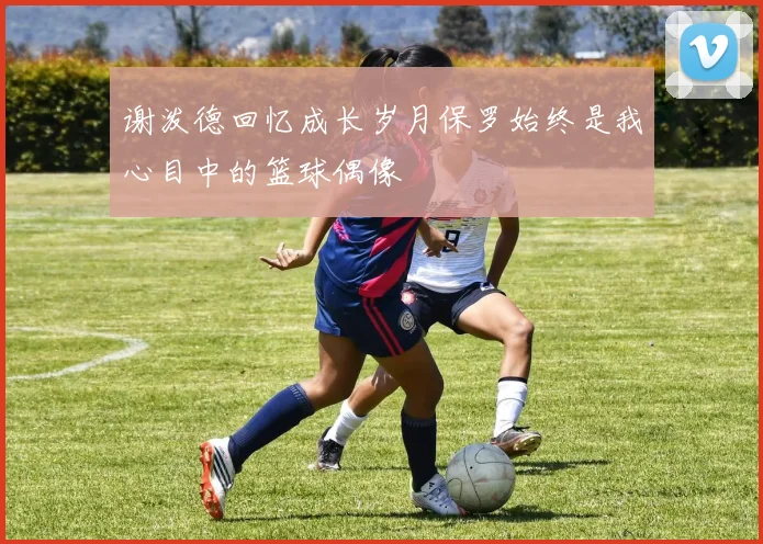 谢泼德回忆成长岁月保罗始终是我心目中的篮球偶像